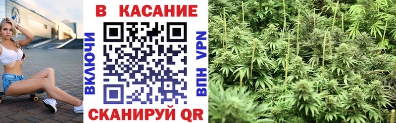 Где найти наркотики Петрозаводск ГАШ  APVP  Меф мяу мяу  COCAIN 