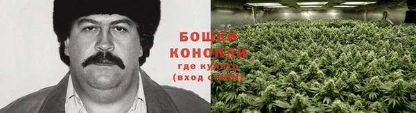 гидра Чита