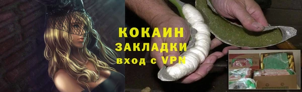 шишки Костерёво
