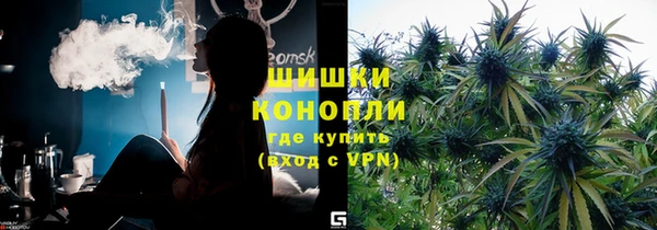 шишки Костерёво