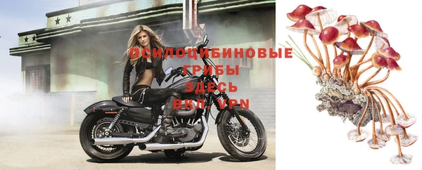 альфа пвп Коряжма