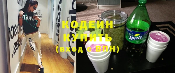 шишки Костерёво