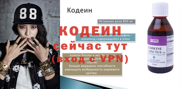 шишки Костерёво