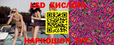 PSILOCYBIN Гусиноозёрск