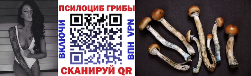 Галлюциногенные грибы Psilocybe  hydra как войти  Петрозаводск  где купить наркотик 