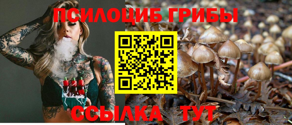 Псилоцибиновые грибы Psilocybe  Вход с VPN  где купить наркотик  Петрозаводск 